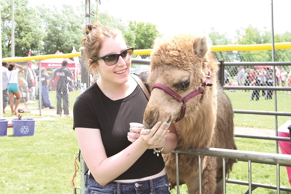 Sylvia met up with a friendly camel at the petting zoo.