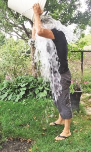 Councillor John Gallo took the Ice Bucket Challenge the previous week.